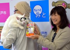 日本“囧脸猫”出书啦：招牌八字眉喜感十足(组